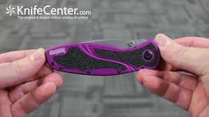 Kershaw Blur Tanto Purple, CTS - BDZ1