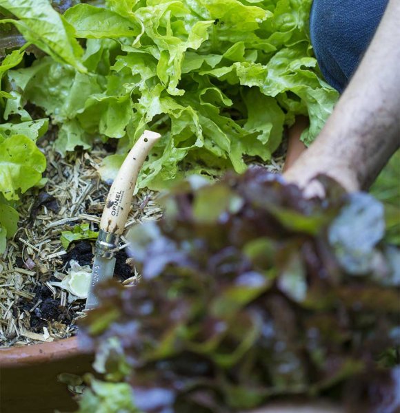 Нож Opinel №8 VRI Jardin