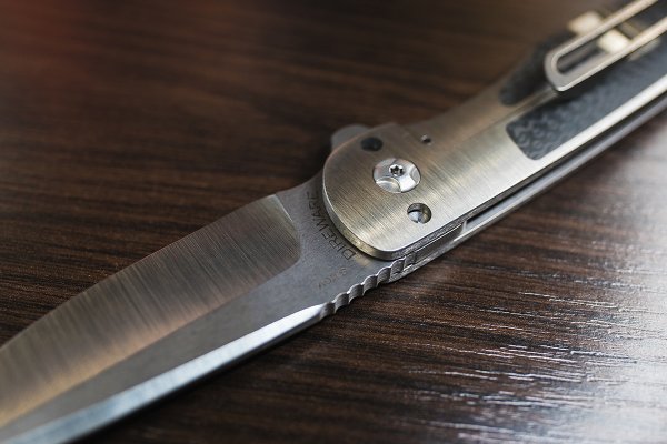 DireWare Knives TAILWHIP